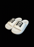 Slides